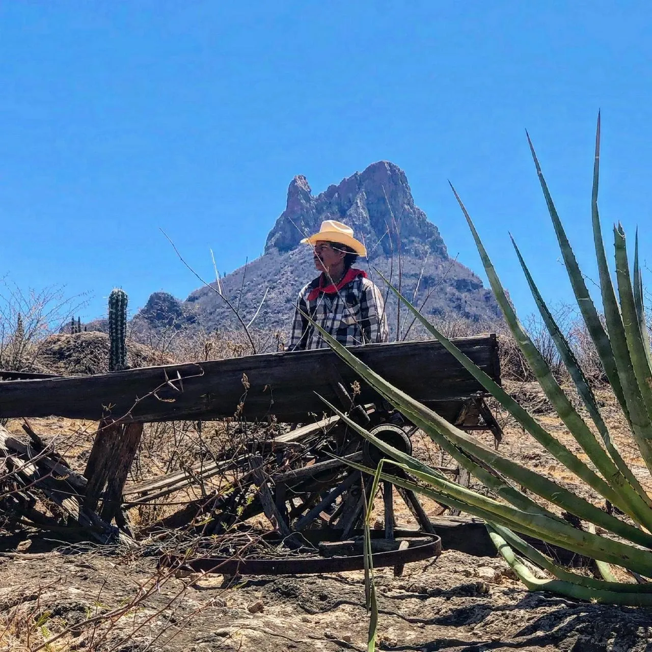 Santo Cuviso — Rancho San Isidro