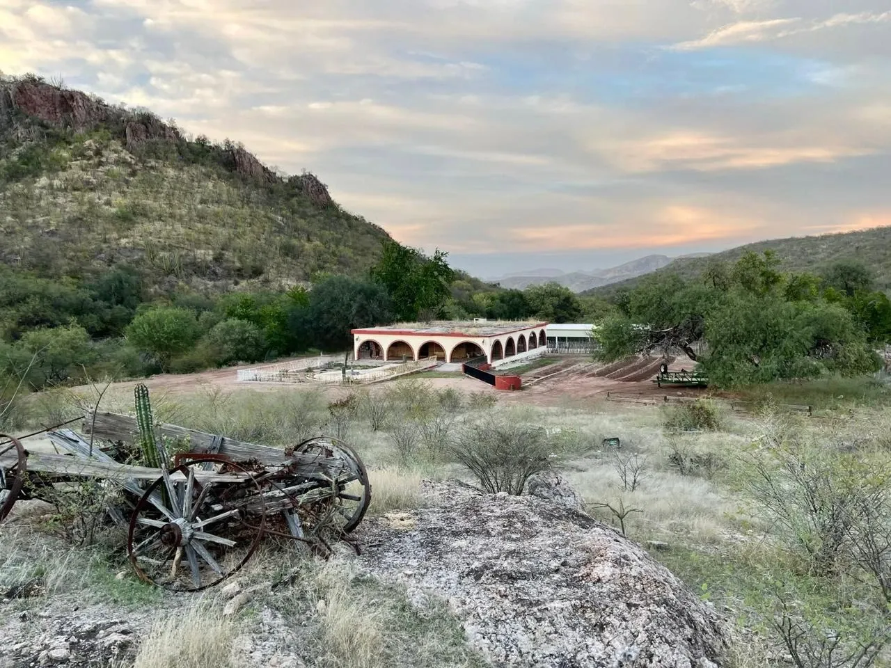Santo Cuviso — Rancho San Isidro