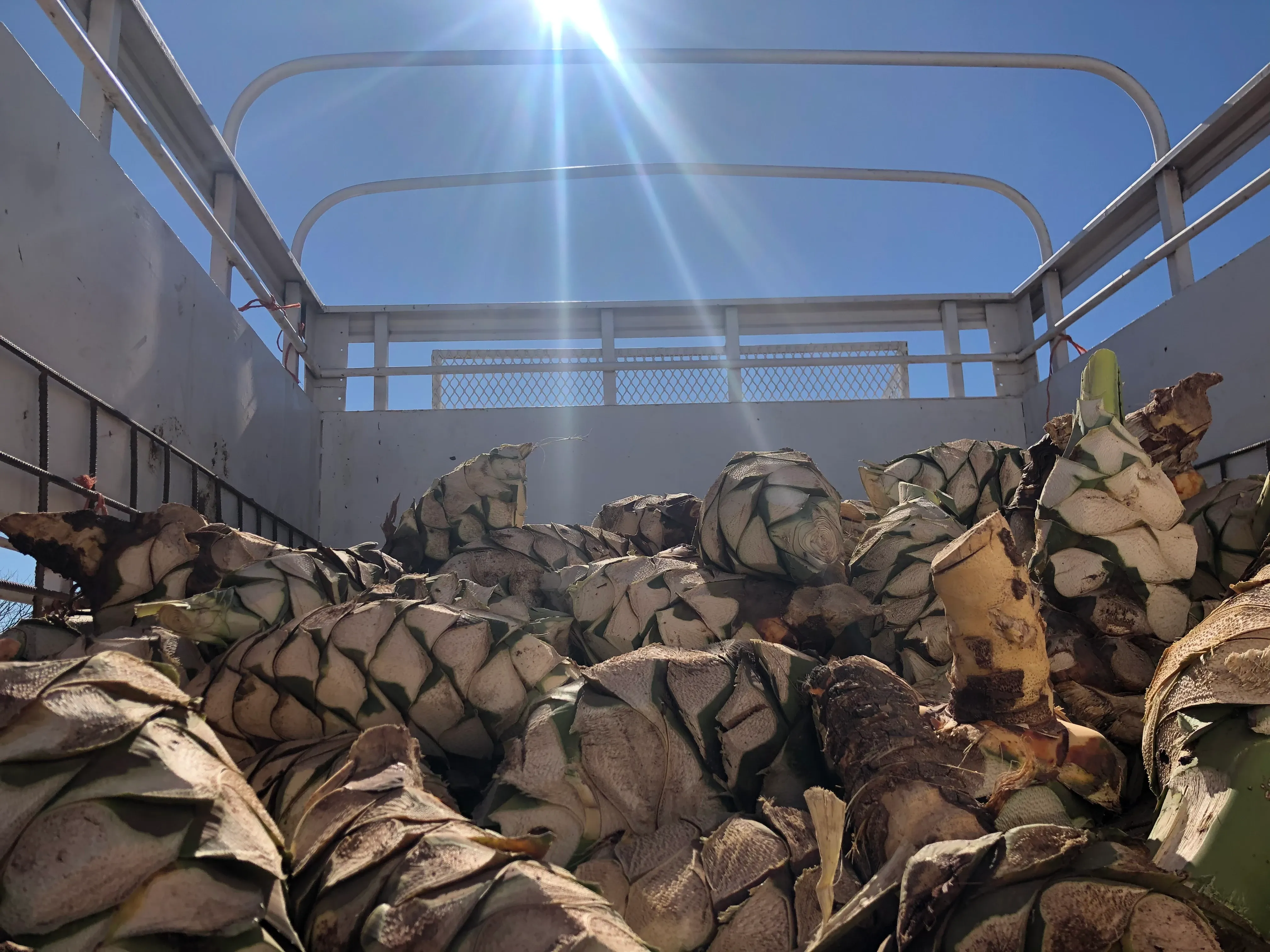 Santo Cuviso — Nuestra Historia