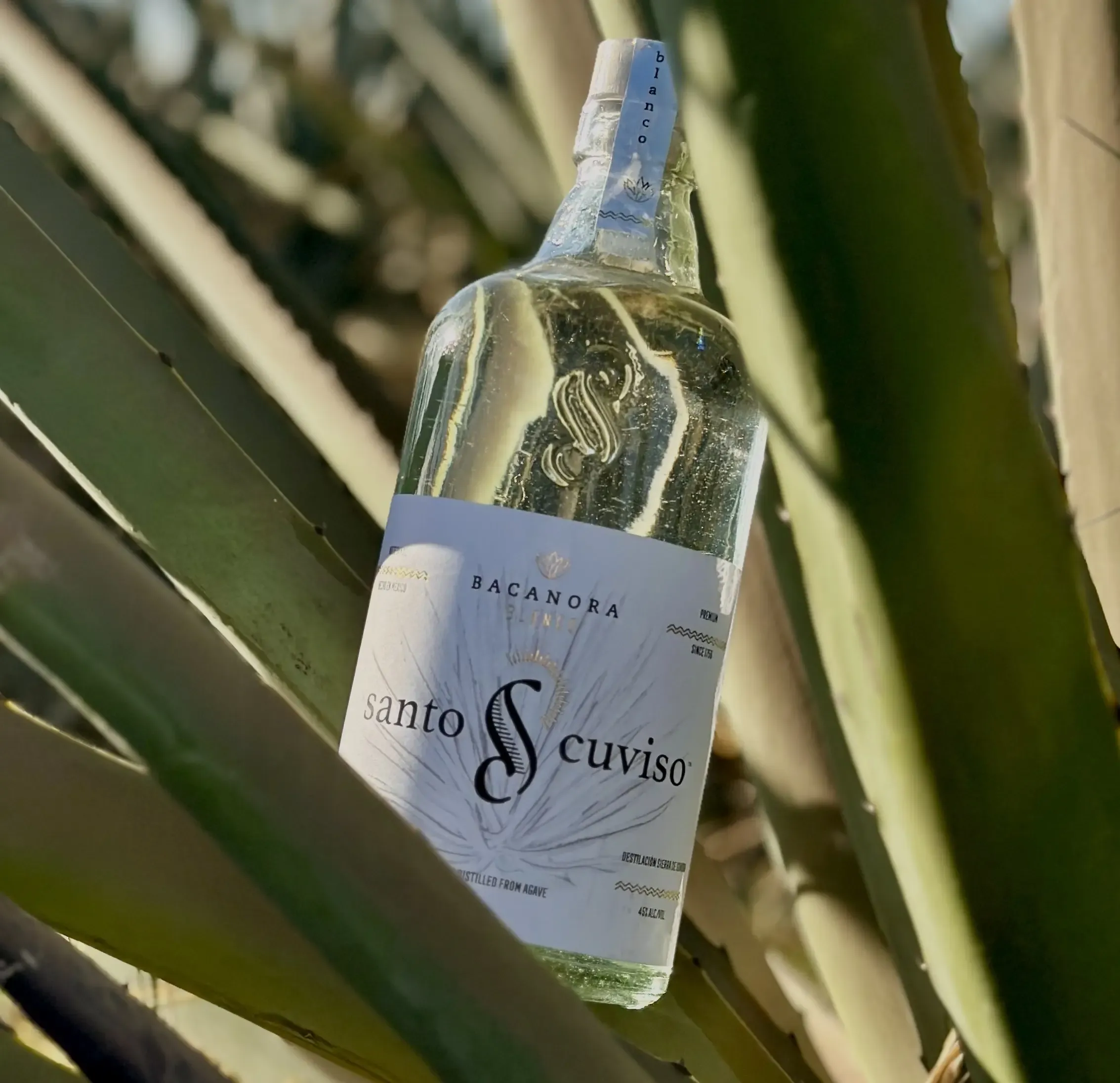 Santo Cuviso — Nuestra Historia