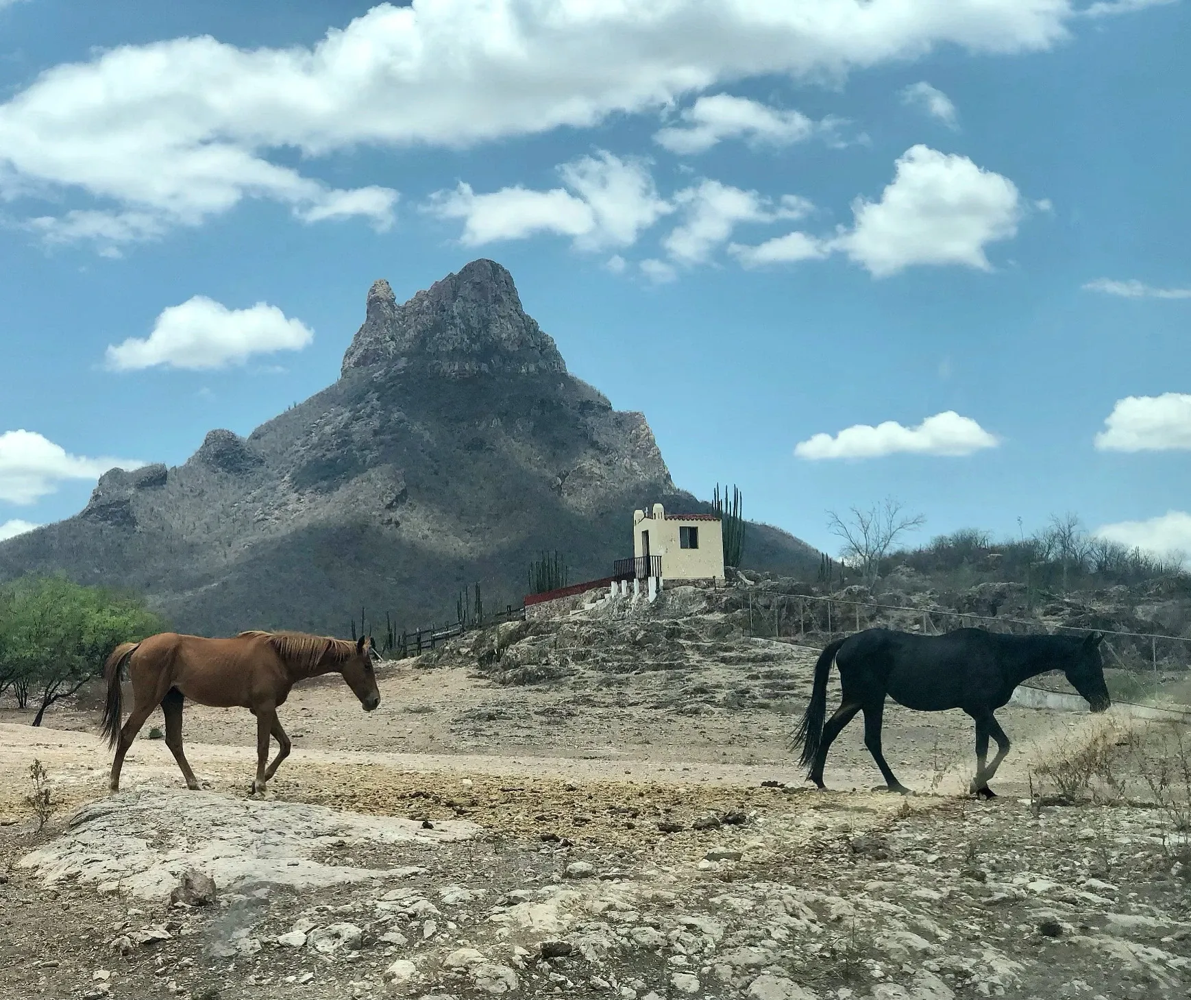 Santo Cuviso — Nuestra Historia