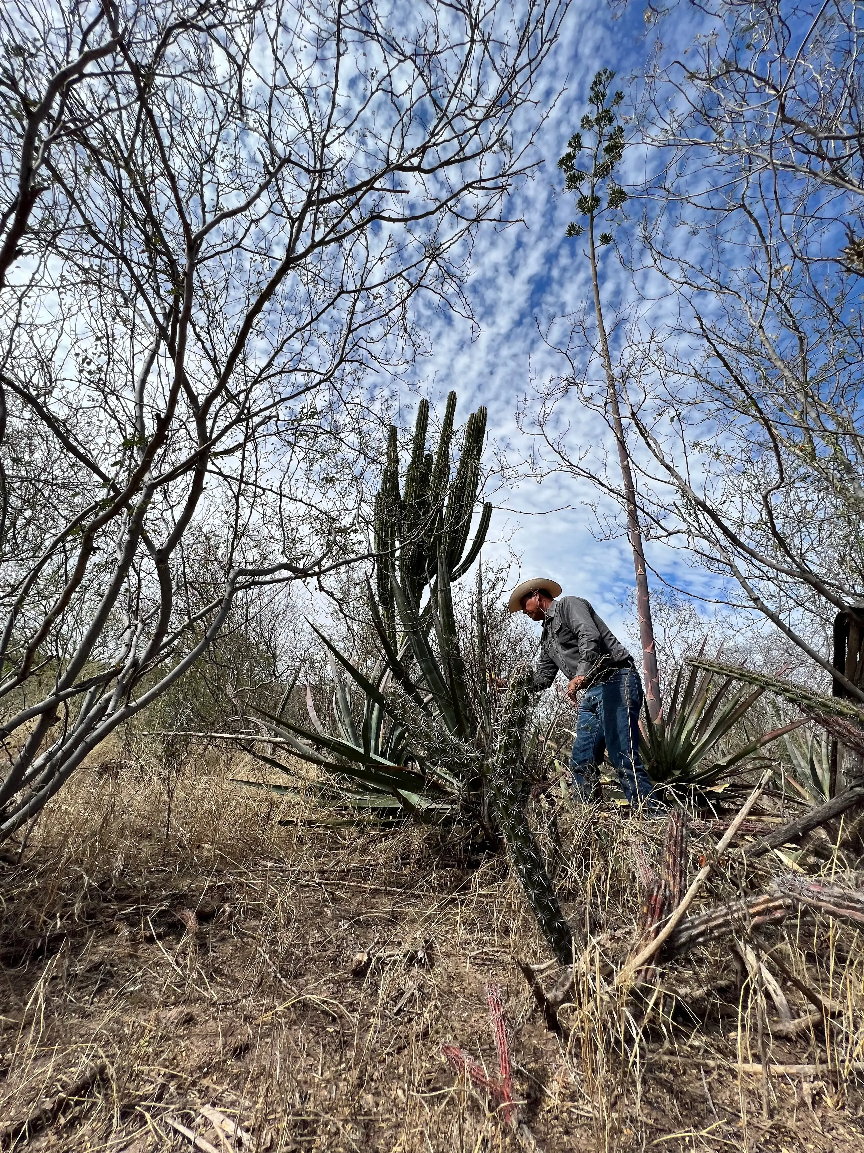 Santo Cuviso — Nuestra Historia