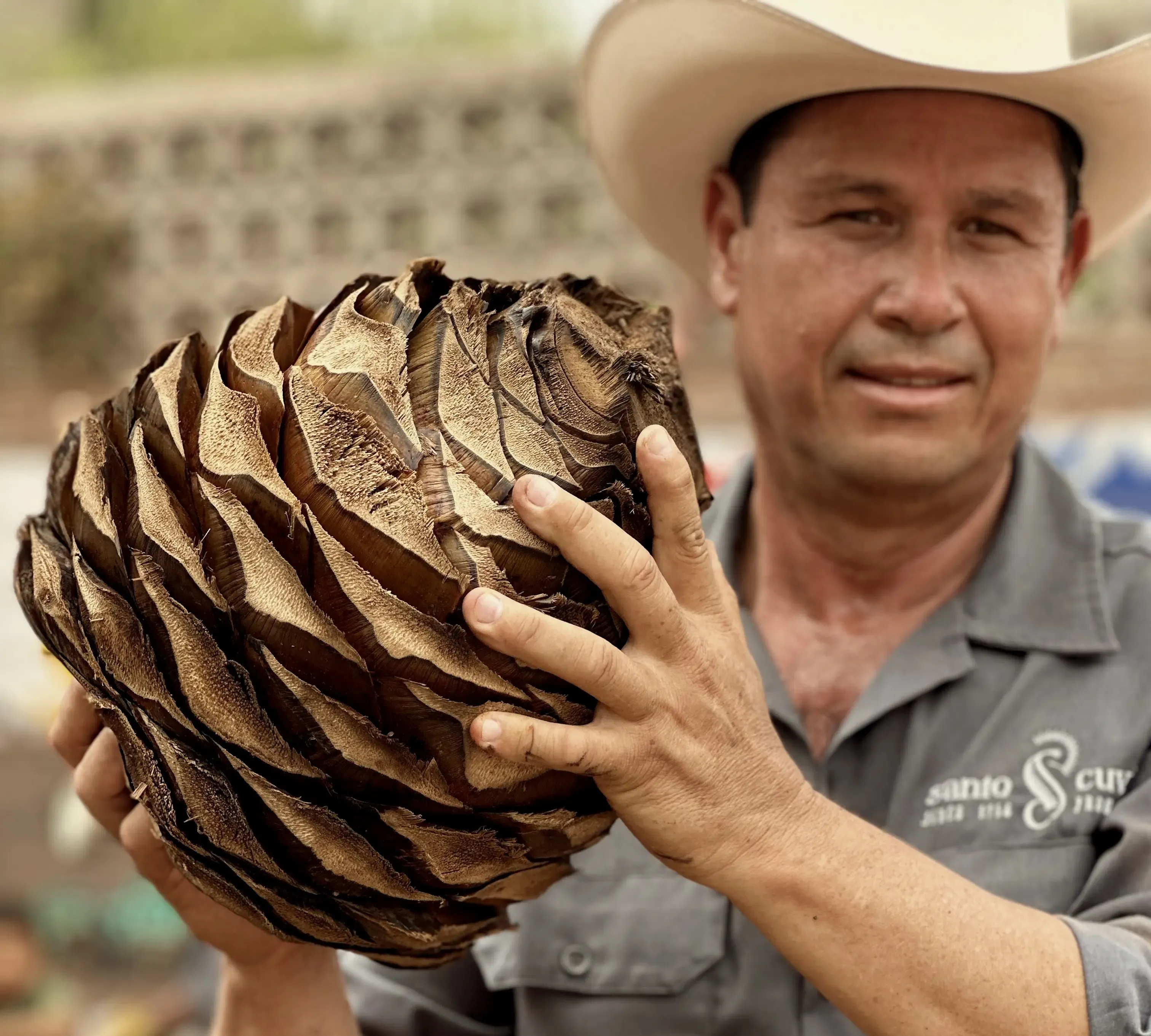 Santo Cuviso — Nuestra Historia